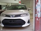 Toyota Axio READY SHOP 4 POINT 2019