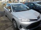 Toyota Axio silver 2019