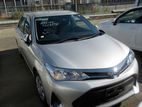 Toyota Axio Silver Color 2019