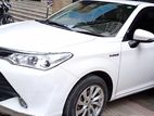 Toyota Axio White Color 2016