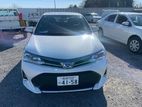 Toyota Axio WXB 2019