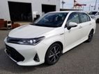 Toyota Axio Wxb 2019