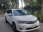 Toyota Axio X 2013