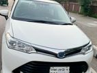 Toyota Axio x 2015