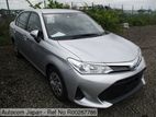 Toyota Axio x 2019