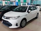 Toyota Axio x 2019