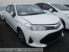 Toyota Axio X 2019