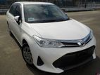 Toyota Axio X 4.5 WHITE 2019