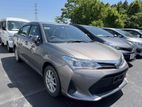 Toyota Axio X Bronze Color 2019