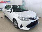 Toyota Axio X hybrid 2019