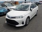 Toyota Axio X-Hybrid 2019