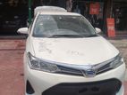 Toyota Axio X HYBRID 2019