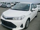 Toyota Axio X Hybrid 2019