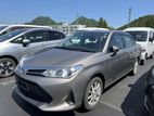 Toyota Axio X Hybrid Bronze 2019
