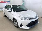 Toyota Axio X Hybrid key start 2019