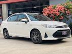 Toyota Axio X Hybrid Pearl 2018