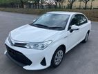 Toyota Axio X Hybrid Point-4 2019