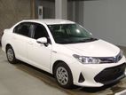 Toyota Axio x key hyb 4 pt 2019