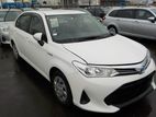 Toyota Axio X Key (Offer Price ) 2019