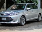 Toyota Axio X-LTD 2015