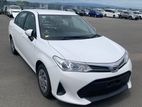 Toyota Axio X non HYBRID 2019