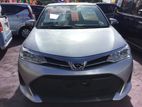 Toyota Axio X Non Hybrid 2019