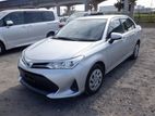 Toyota Axio X Non Hybrid 2019