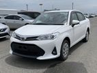 Toyota Axio X NON HYBRID 2019