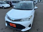 Toyota Axio X Non Hybrid 4.5 2019