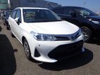 Toyota Axio X NON HYBRID 4.5 2019