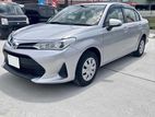 Toyota Axio x non hybrid octane 2019