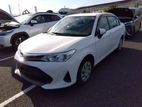 Toyota Axio X Non Hybrid(GP-4) 2019