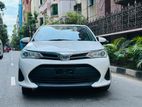 Toyota Axio X NS SAFETY DHK 2019