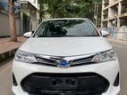 Toyota Axio X package 2018