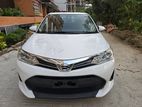 Toyota Axio X PACKAGE NON Hybrid 2019