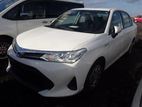 Toyota Axio X Package, White 2019