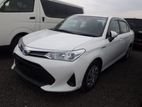 Toyota Axio X Pkg 2019