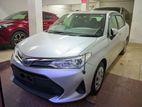 Toyota Axio X PKG READY SHOWROOM 2019