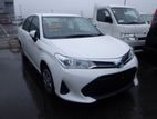 Toyota Axio X PKG / WHITE 2019