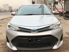 Toyota Axio X Point 3.5 2019
