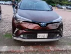 Toyota C-HR . 2017