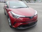 Toyota C-HR RED WINE 2019