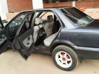 Toyota Corolla . 1991