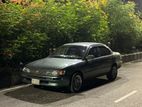 Toyota Corolla . 1992
