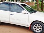 Toyota Corolla . 1995