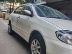 Toyota Corolla 2003