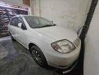 Toyota Corolla . 2004