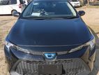 Toyota Corolla 5 Seater 2020