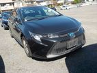 Toyota Corolla Black color 2020