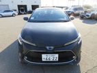 Toyota Corolla DOUBLE BI 4POINT 2020